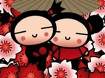Pucca